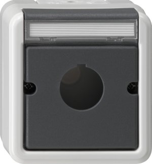 Gira 027230 Abdeckung+Tragring Geraete mit 22,5 mm WG Aufputz Grau