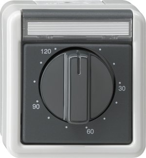 Gira 032130 Zeitschalter 120 Minuten WG Aufputz Grau