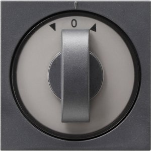 Gira 066628 Abdeckung Knebel Zeit und Jalousie System 55 Anthrazit