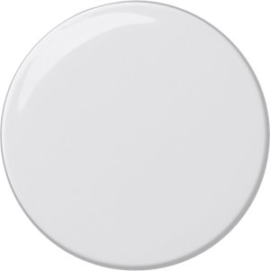 GIRA Drehknopf Dimmer  091003