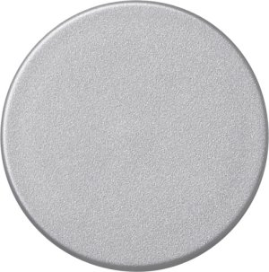 GIRA Drehknopf Dimmer  091026