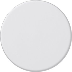 GIRA Drehknopf Dimmer  091027