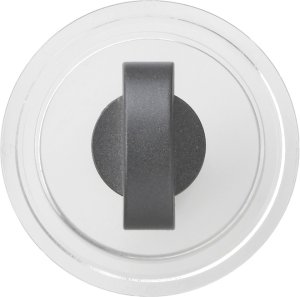 GIRA Ersatzknebel f.Jalousiesch. 146667