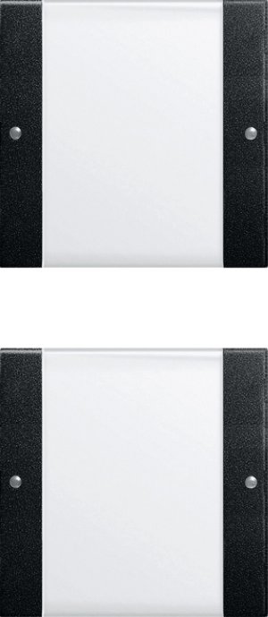 GIRA Wippenset 2f (1+1) BSF Syst 2132005