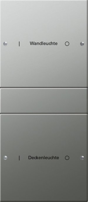 GIRA Wippenset 2f (1+1)beschr. S 2132602