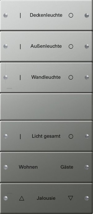 GIRA Wippenset 6f (3+3) beschr. 2136602