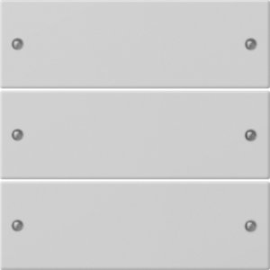 GIRA Wippenset 3f System 55 Grau 2183015