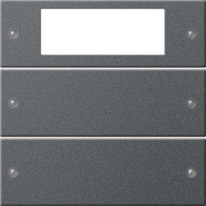 GIRA Wippenset 2-fach Plus 219228