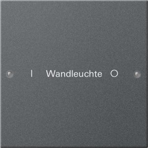 GIRA Wippenset 1f beschriftbar 220128