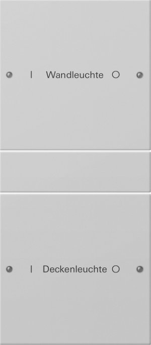 GIRA Wippenset 2f (1+1) beschr. 2202015