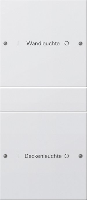 GIRA Wippenset 2f beschriftbar 220203