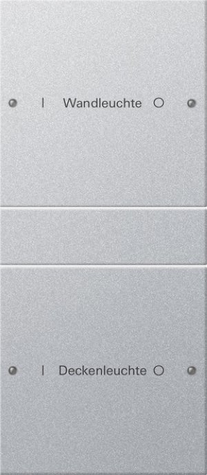 GIRA Wippenset 2f beschriftbar 220226