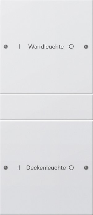 GIRA Wippenset 2f beschriftbar 220227