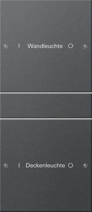 GIRA Wippenset 2f beschriftbar 220228