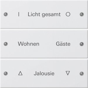 GIRA Wippenset 3f beschriftbar 220303