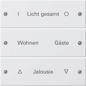 GIRA Wippenset 3f beschriftbar 220327