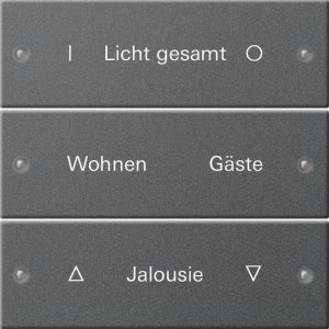 GIRA Wippenset 3f beschriftbar 220328