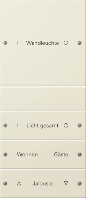 GIRA Wippenset 4f beschriftbar 220401