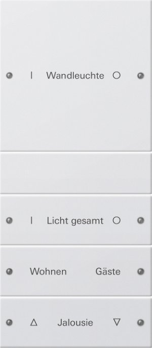 GIRA Wippenset 4f beschriftbar 220403