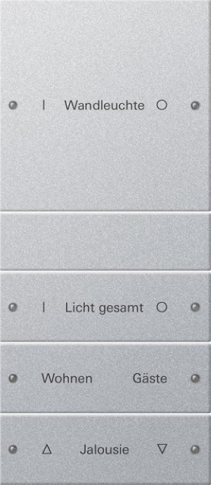 GIRA Wippenset 4f beschriftbar 220426