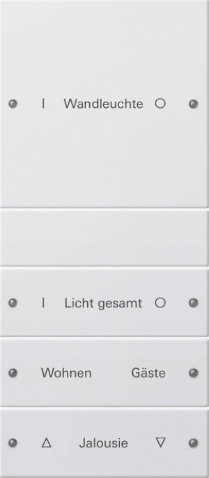 GIRA Wippenset 4f beschriftbar 220427