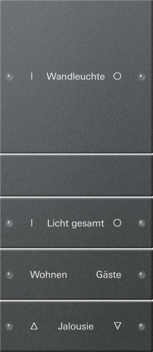 GIRA Wippenset 4f beschriftbar 220428