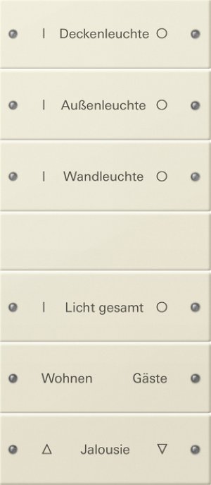 GIRA Wippenset 6f beschriftbar 220601