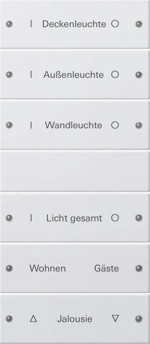 GIRA Wippenset 6f beschriftbar 220603