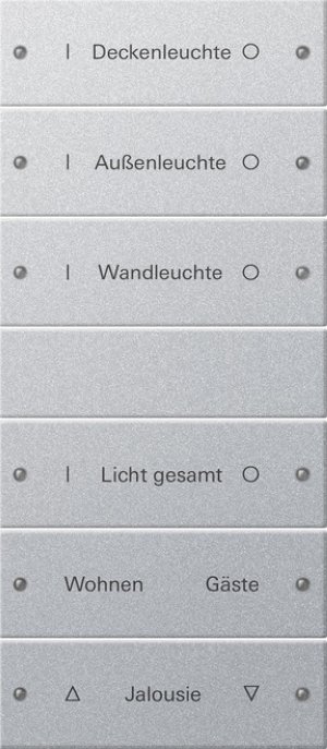 GIRA Wippenset 6f beschriftbar 220626