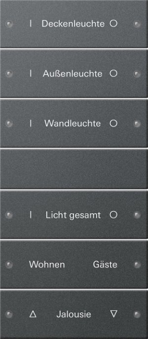 GIRA Wippenset 6f beschriftbar 220628