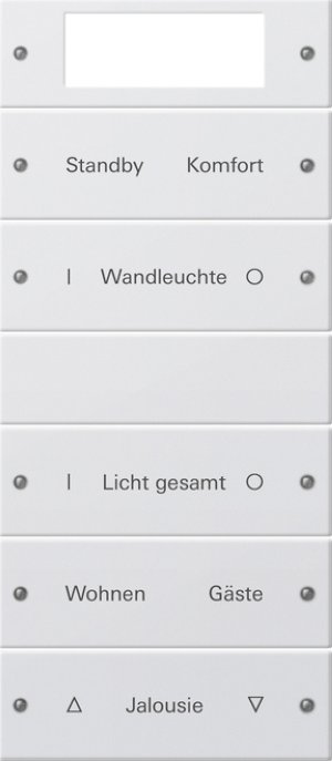 GIRA Wippenset 5f beschriftb.Plus 221503