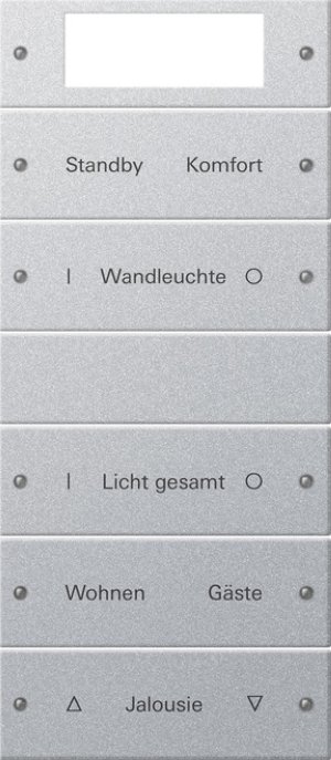 GIRA Wippenset 5f beschriftb.Plus 221526