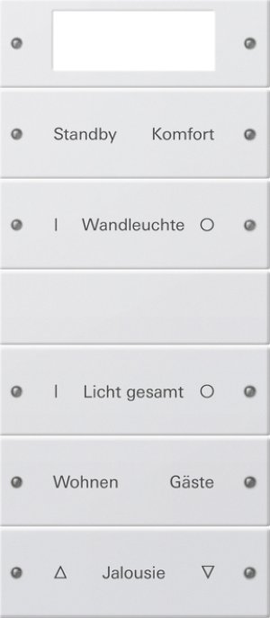 GIRA Wippenset 5f beschriftb.Plus 221527