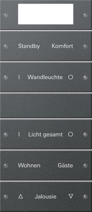 GIRA Wippenset 5f beschriftb.Plus 221528