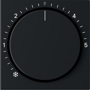 GIRA Abd. RTR KontrollSystem 55 2702005