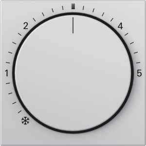 GIRA Abd. RTR KontrollSystem 55 2702015