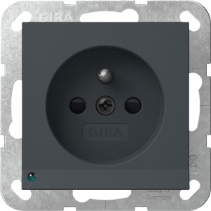 GIRA Steckd. Erdstift LED-Leuchte 448928