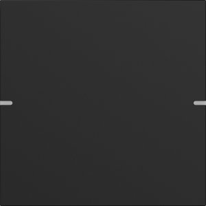 GIRA Wippenset 1f Tastsens.4 TS4 5021905