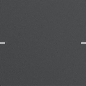 GIRA Wippenset 1f Tastsens.4 TS4 5021928