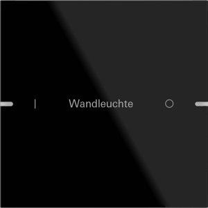 GIRA Wippenset 1f indiv. Tastsens 503105