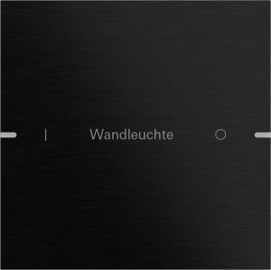 GIRA Wippenset 1f indiv. Tastsen 5031126