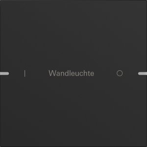 GIRA Wippenset 1f indiv. Tastsen 5031905