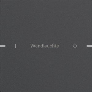 GIRA Wippenset 1f indiv. Tastsen 5031928