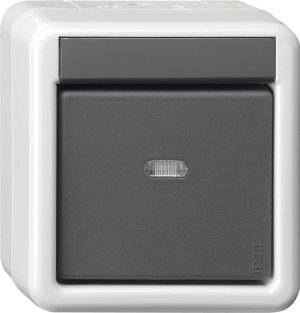 GIRA Taster BA 1fach 2 Punkt WG A 515230