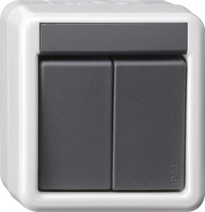 GIRA Taster BA 2fach 1 Punkt WG A 516130