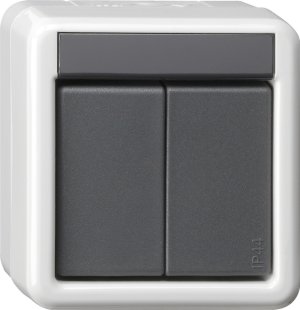 GIRA Taster BA 2fach 2 Punkt WG A 516230