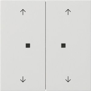 GIRA KNX Taster Wippe 2f Pfeile 5174112