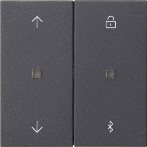 GIRA Jalousie-u.Schaltuhr Blut. 536728