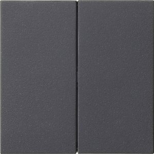 GIRA Wippe 2f unbedruckt  537028