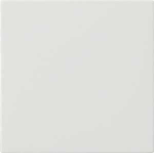 GIRA Wippe 1f unbedruckt  537203